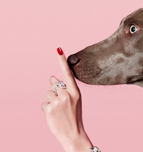 maquillaje vegano cruelty free